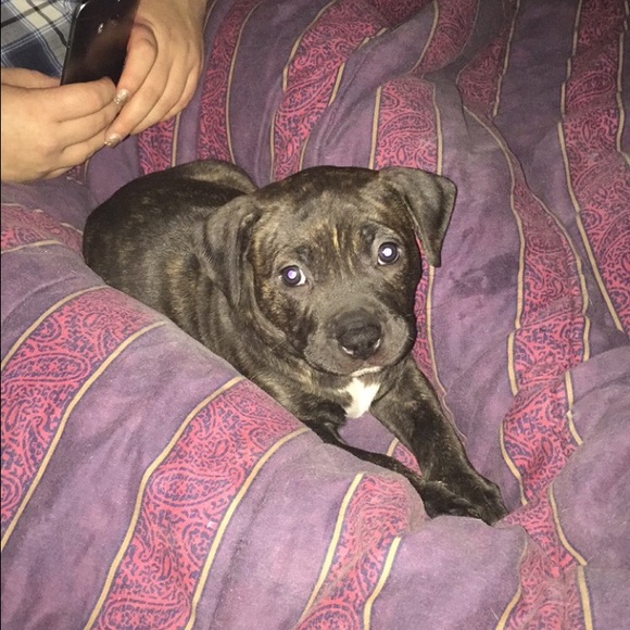 zeusandriley