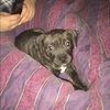 zeusandriley