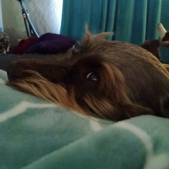 muffaph