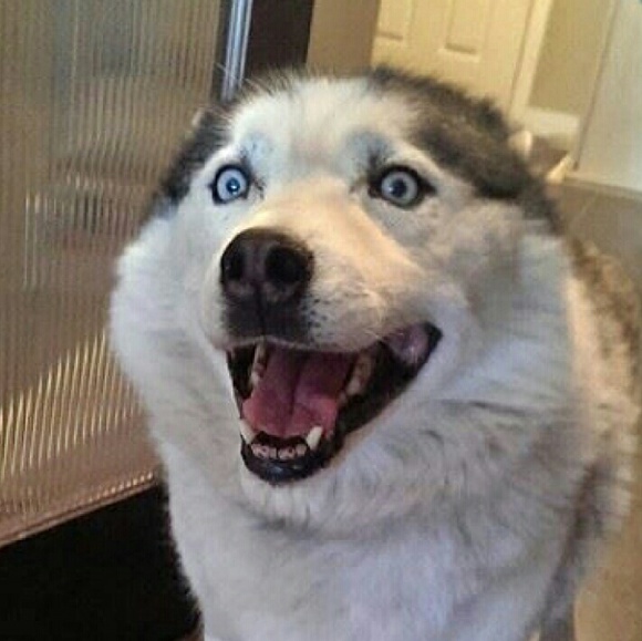 kemsti