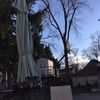 k_hoffmann