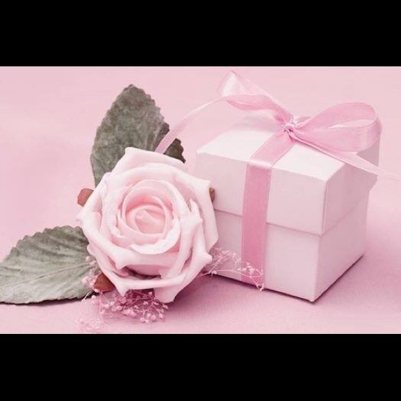 zielohandbags