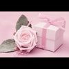 zielohandbags