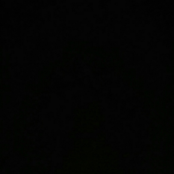 blackwayne