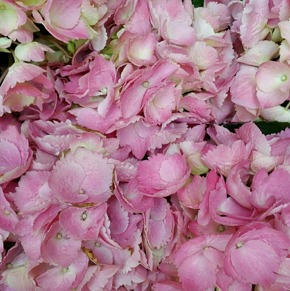aprilgm73