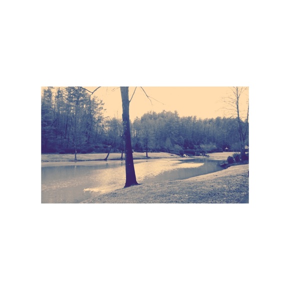 rachel_crrp