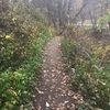 apark111