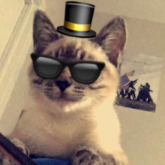 tzinfedel