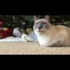 syds24_