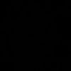 sae1994