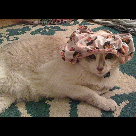 taliathekitteh