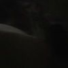 jorjor16