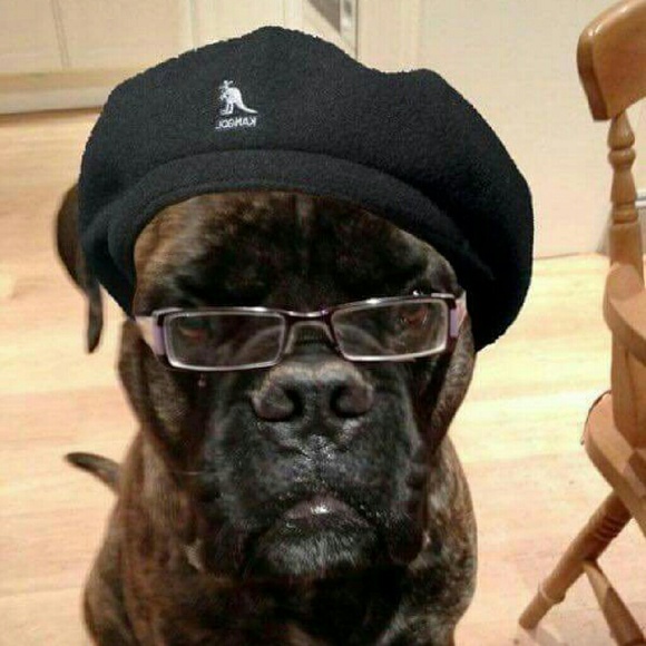 thedoc626