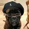 thedoc626