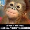 chatita79