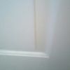 ferny_1234