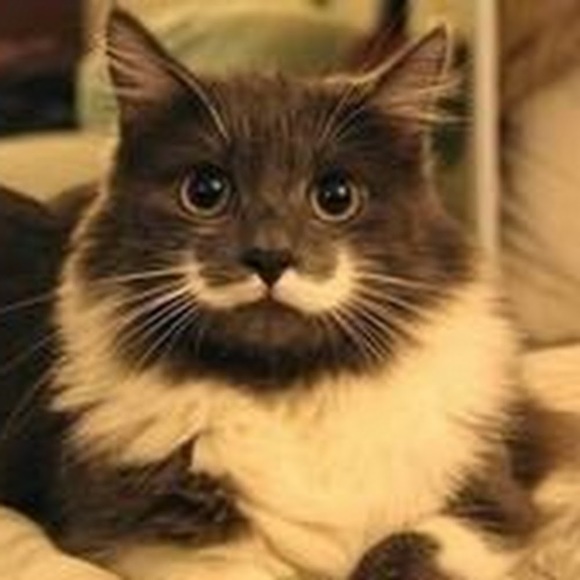 fuzzywuzzytuna