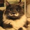 fuzzywuzzytuna