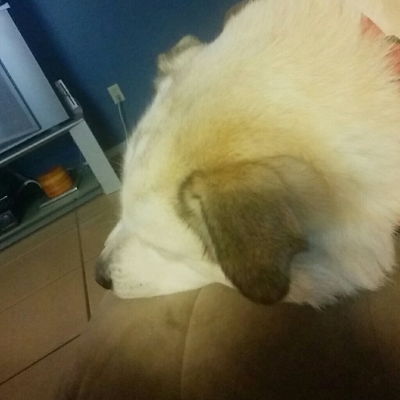 peretiatko