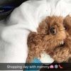 neylapaige17 neylapaige17
