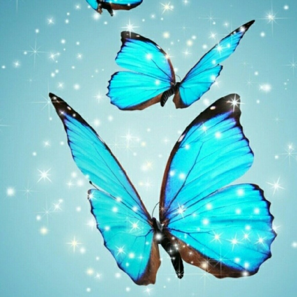 bbutterfly