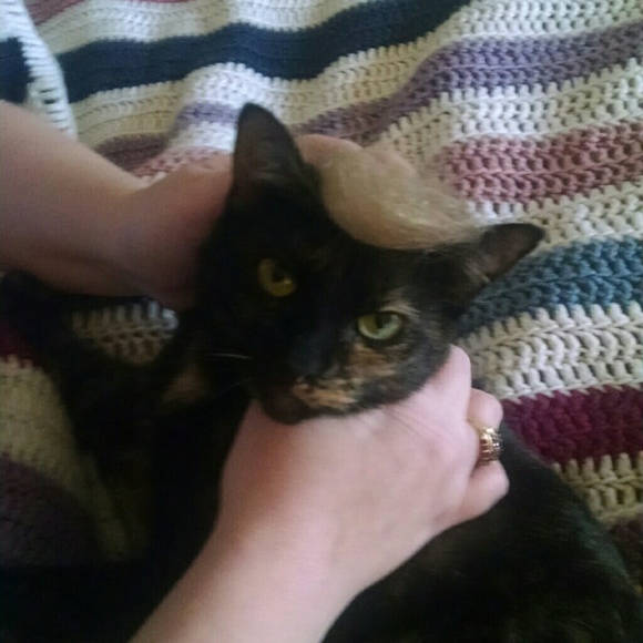 pinktoe