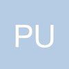 pduytengsu