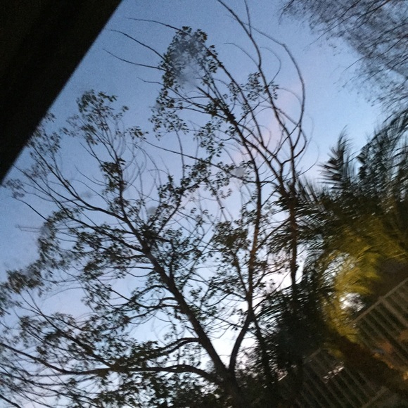 afgsvdbgn
