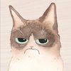 maotunbb