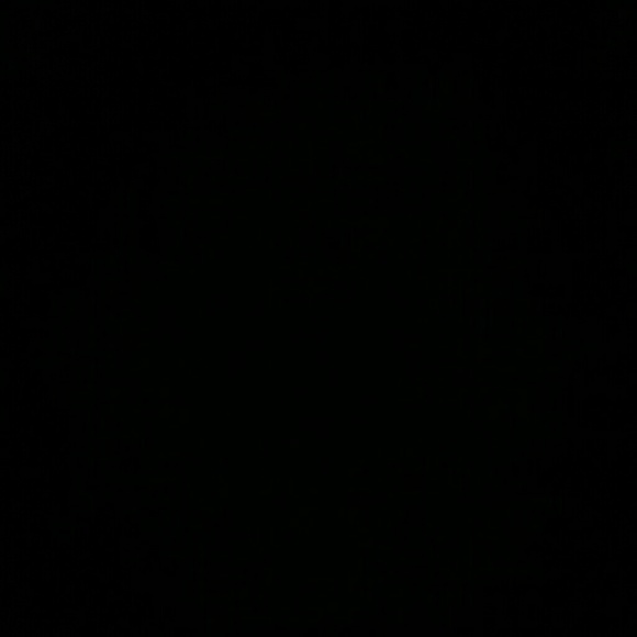 raymonh