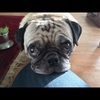sunnysignup