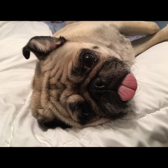 lilimajig