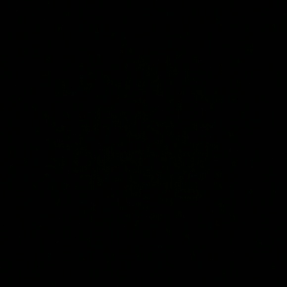 reganferris92
