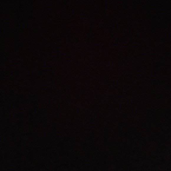 sarondawit1
