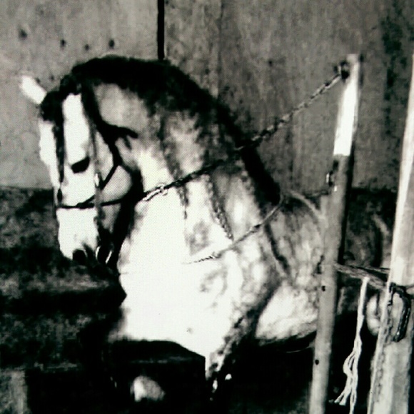 axander2888