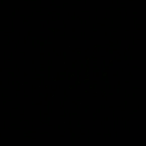 vettelpn67