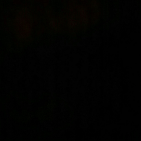 elephant30000