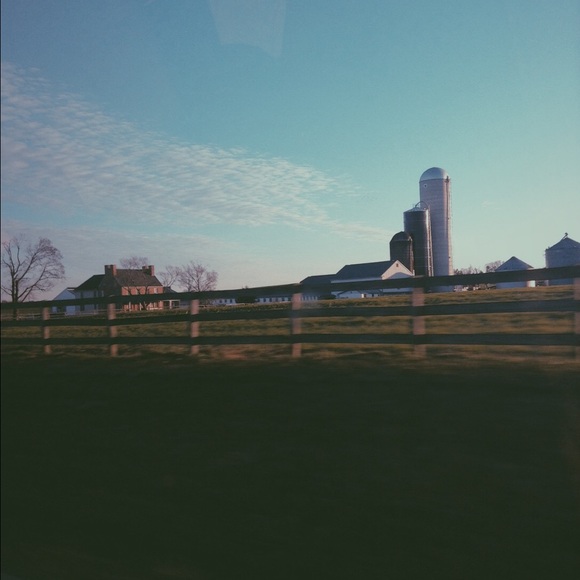 taylor_reider