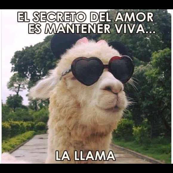 shegui