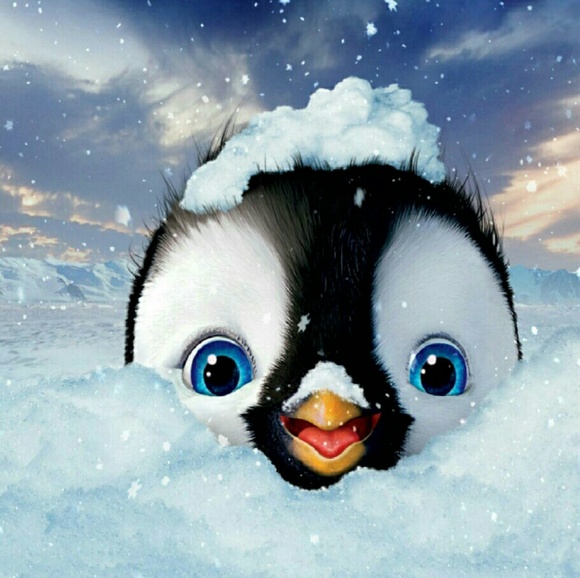 katkora1