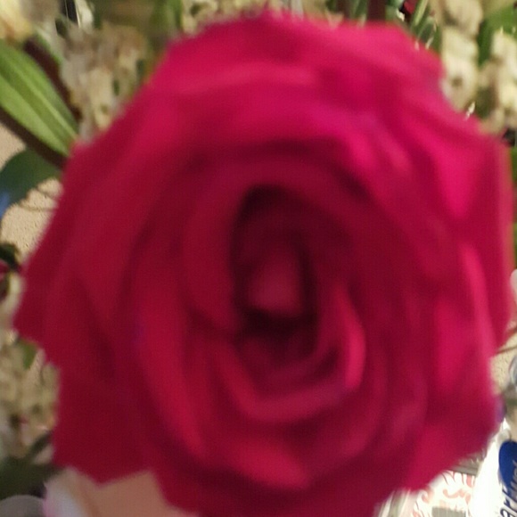 lady_t253