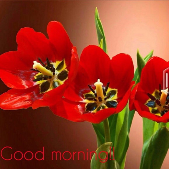 shwetaj111