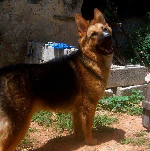 chacon10