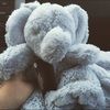 haleymrader