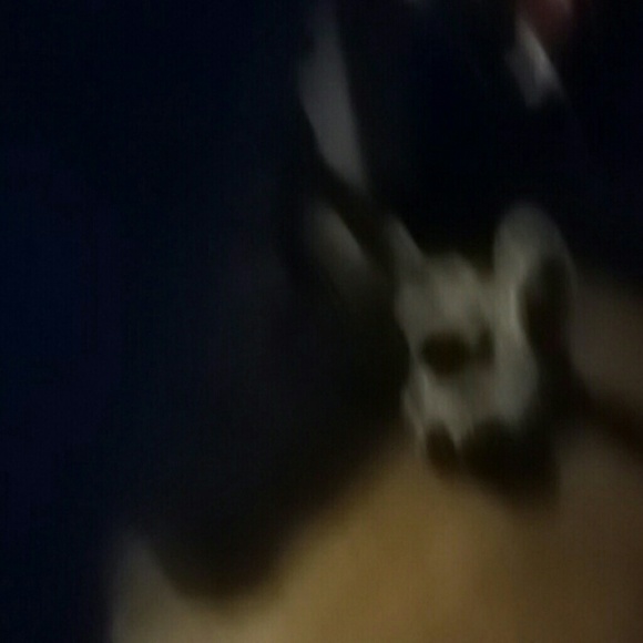 suevanvleet144