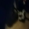 suevanvleet144