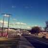 addisonpettit_