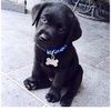 chloee3700