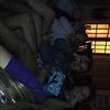 ellie_d4728