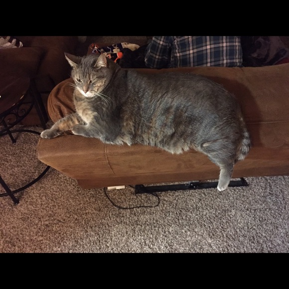 jakeisneat